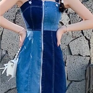 Blue and navy denim dress with zipper in front and back